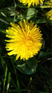 20170408_173436_HDR