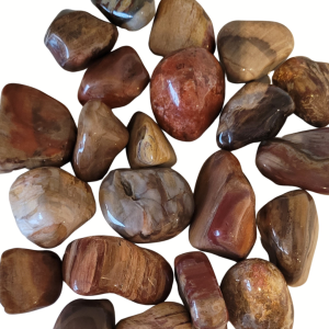 Versteend hout