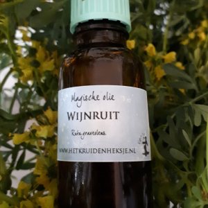 Wijnruit