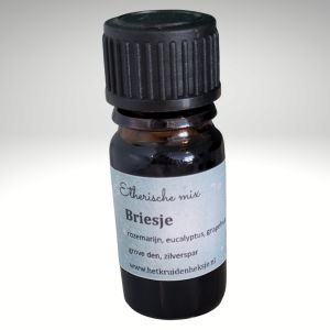 Briesje
