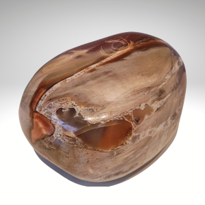 Versteend hout